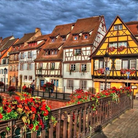 Appartement Climatise 70 M2, Proximite De Colmar Sainte-Croix-en-Plaine Екстериор снимка
