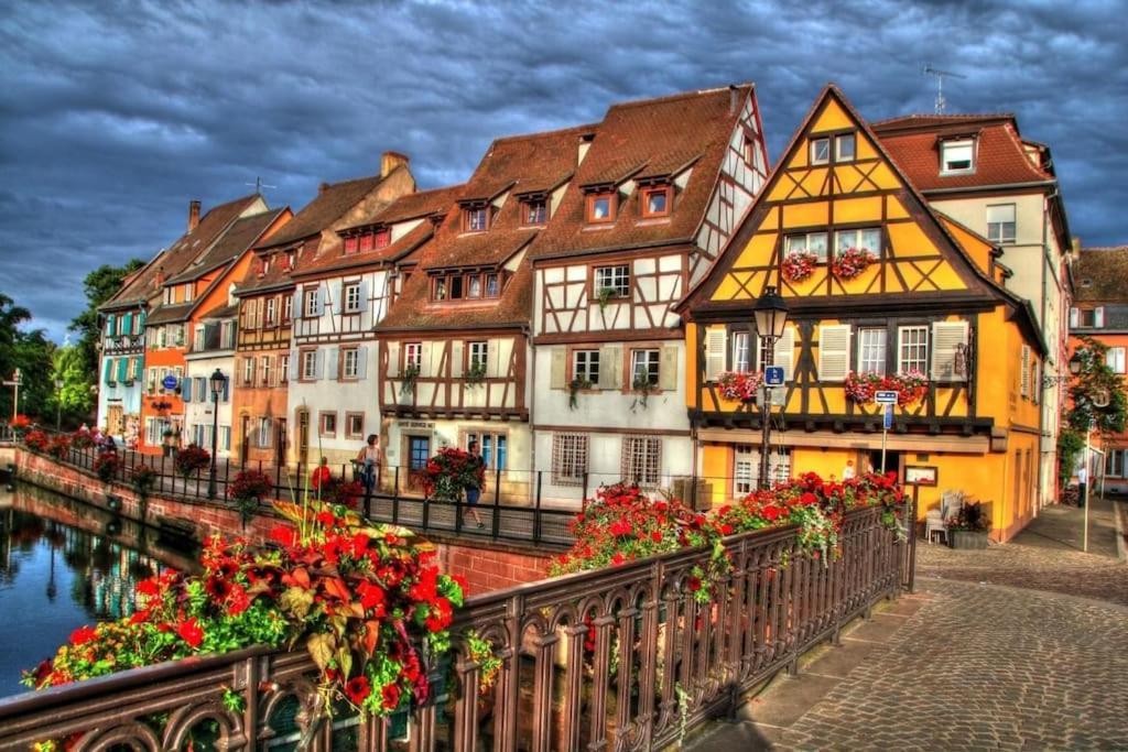 Appartement Climatise 70 M2, Proximite De Colmar Sainte-Croix-en-Plaine Екстериор снимка