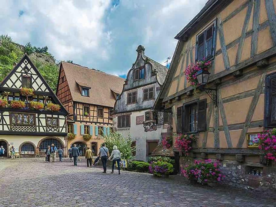 Appartement Climatise 70 M2, Proximite De Colmar Sainte-Croix-en-Plaine Екстериор снимка