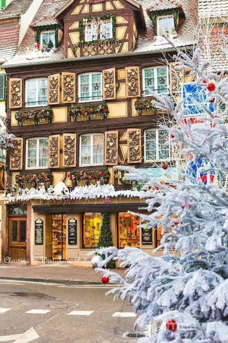Appartement Climatise 70 M2, Proximite De Colmar Sainte-Croix-en-Plaine Екстериор снимка