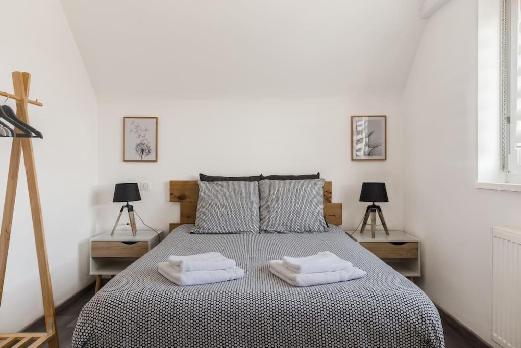 Appartement Climatise 70 M2, Proximite De Colmar Sainte-Croix-en-Plaine Екстериор снимка