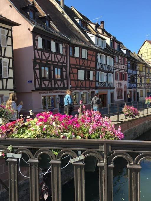 Appartement Climatise 70 M2, Proximite De Colmar Sainte-Croix-en-Plaine Екстериор снимка