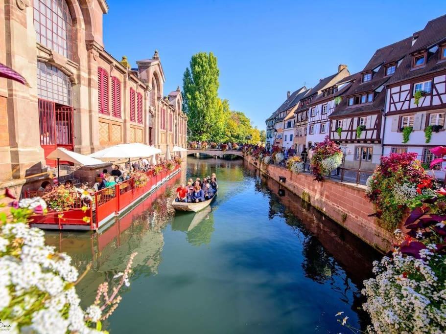 Appartement Climatise 70 M2, Proximite De Colmar Sainte-Croix-en-Plaine Екстериор снимка