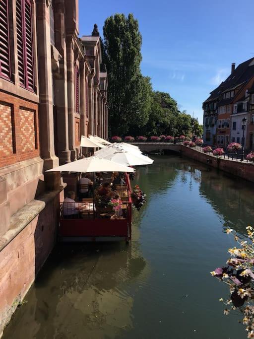 Appartement Climatise 70 M2, Proximite De Colmar Sainte-Croix-en-Plaine Екстериор снимка
